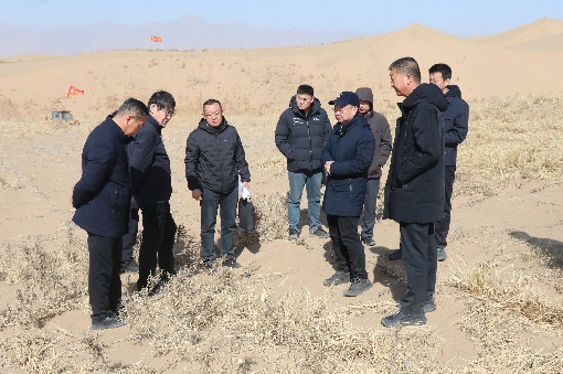 全区“三北”工程林草种苗质量监管“绿剑2026”行动在巴彦淖尔市启动