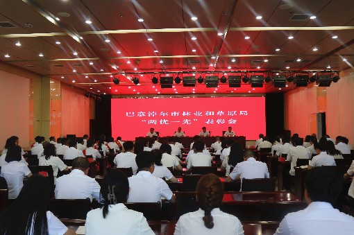 市林草局“两优一先”表彰会召开