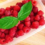 4.6红树莓（产业科提供）.jpg